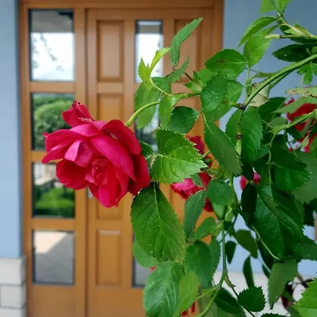 아파트 Apartma La Rosa